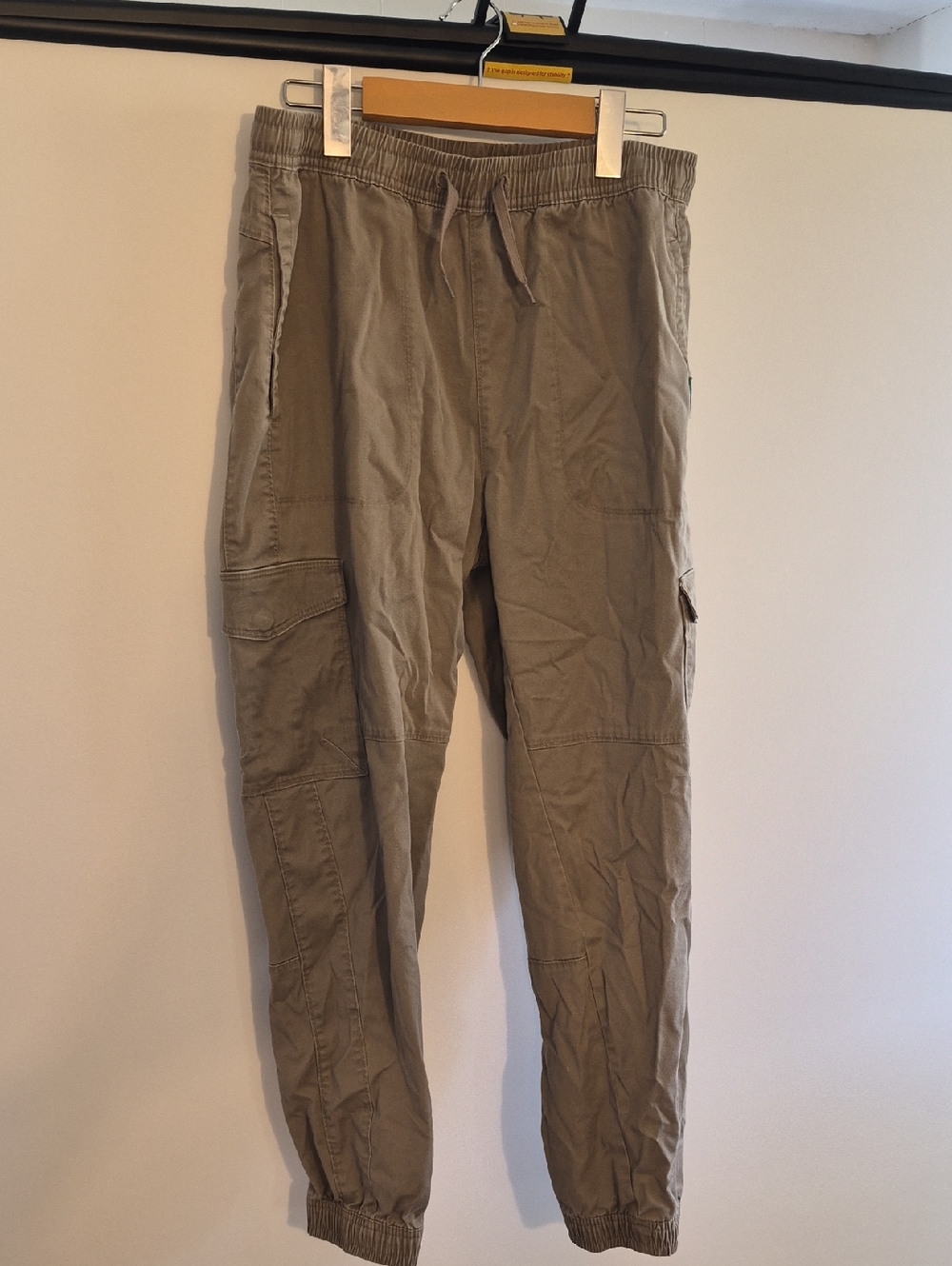 Men's Cargo Jogger Pants in Olive